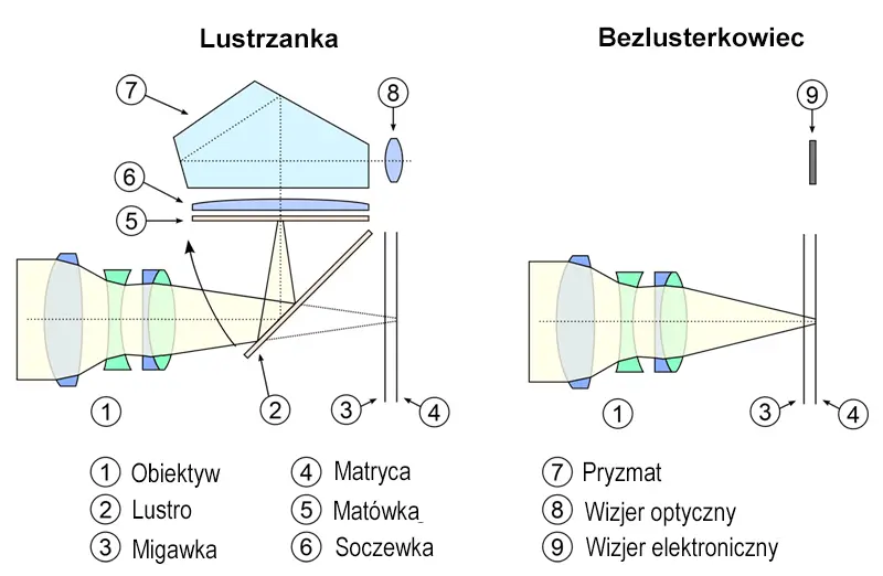Wykres przedstawiający różnice w budowie lustrzanki oraz bezlusterkowca.