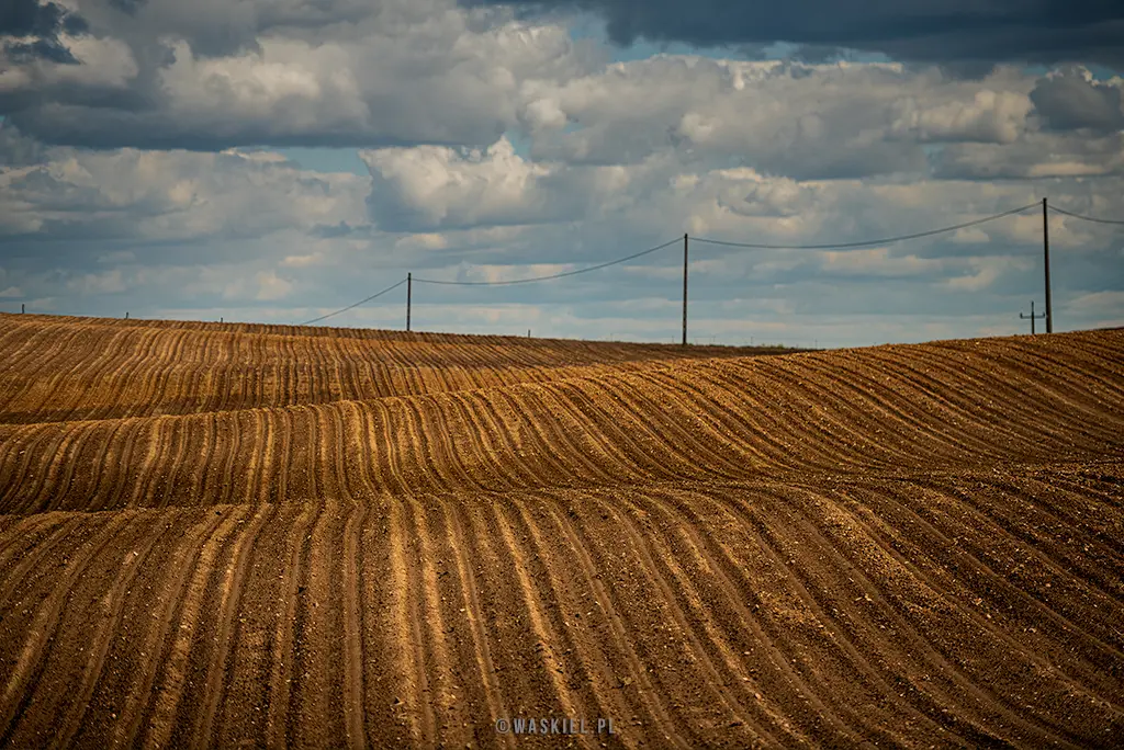 Fotografia krajobrazu, przedstawiająca pola na Podlasiu.