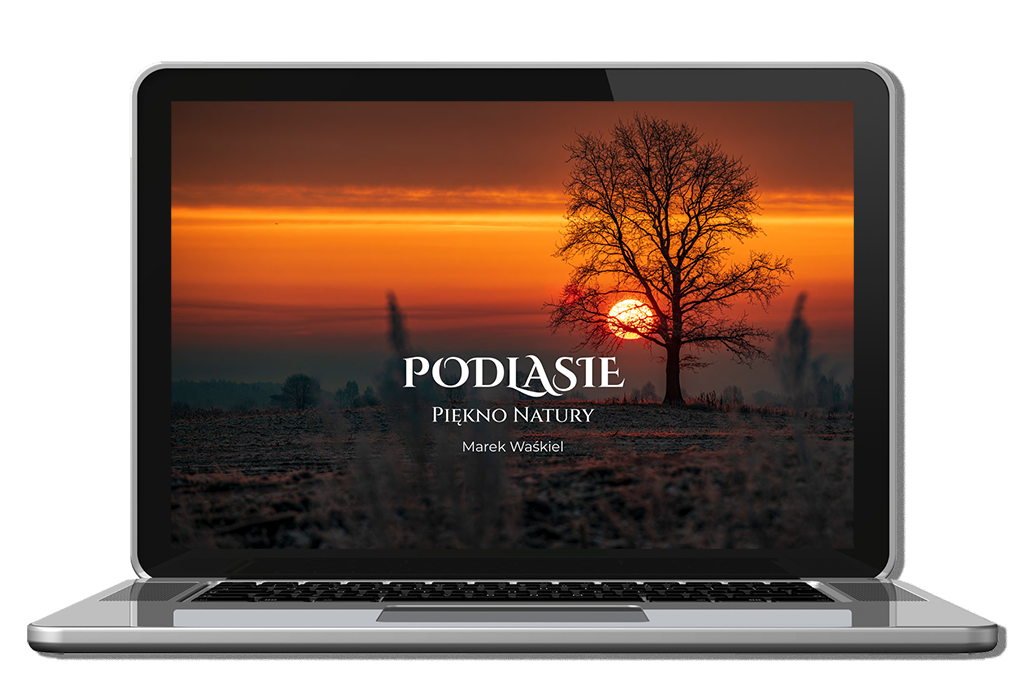 Obraz przedstawiający okładkę albumu Podlasie Piękno Natury.